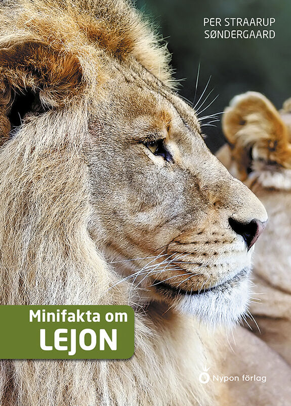 Omslag: Minifakta om lejon