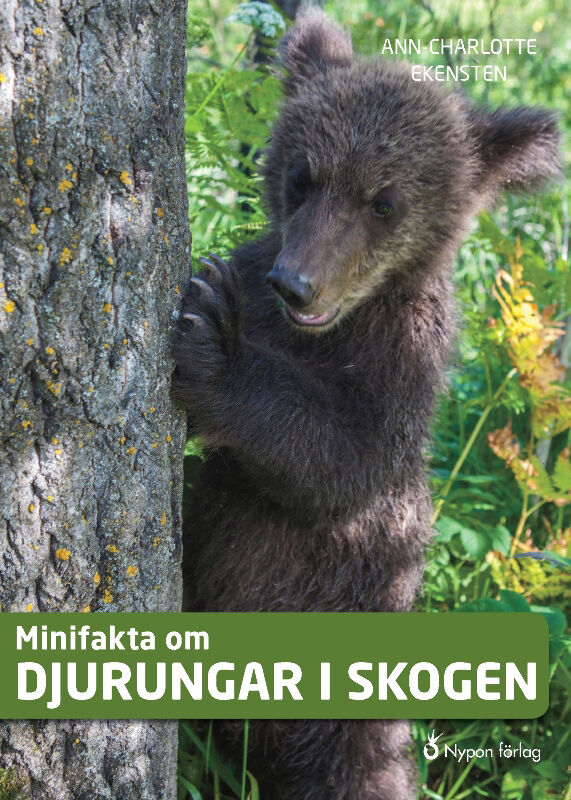 Omslag: Minifakta om djurungar i skogen