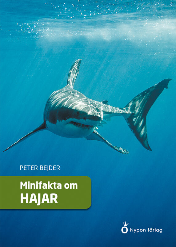 Omslag: Minifakta om hajar