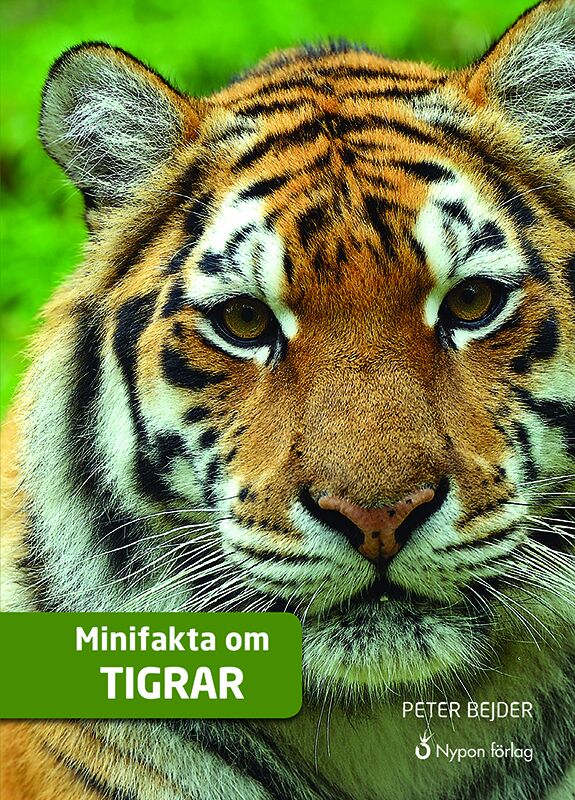 Omslag: Minifakta om tigrar