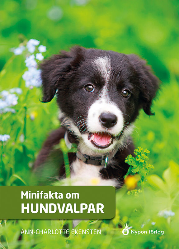 Omslag: Minifakta om hundvalpar