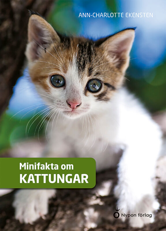 Omslag: Minifakta om kattungar