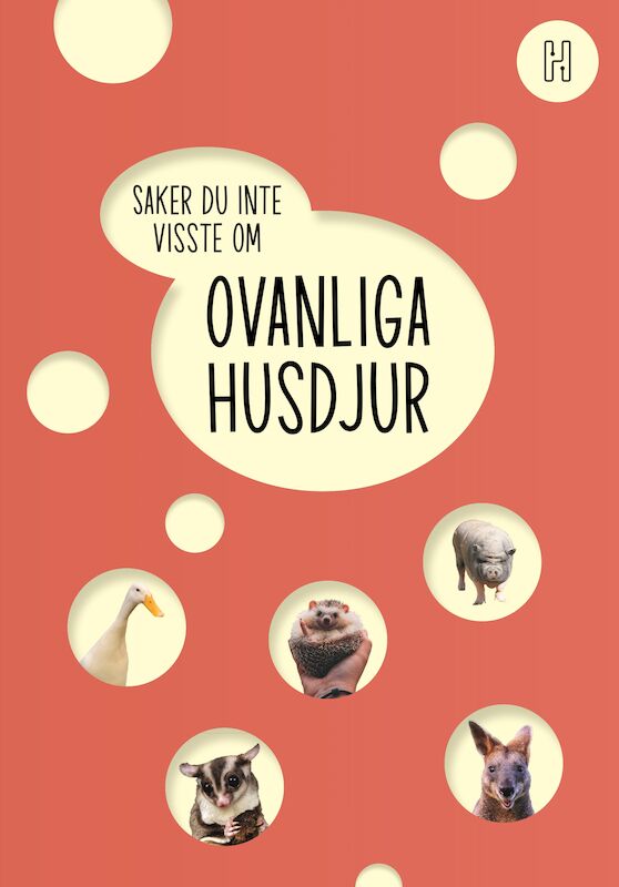 Omslag: Ovanliga husdjur