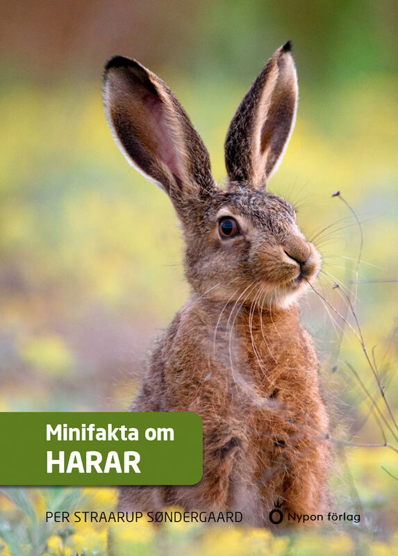 Omslag: Minifakta om harar