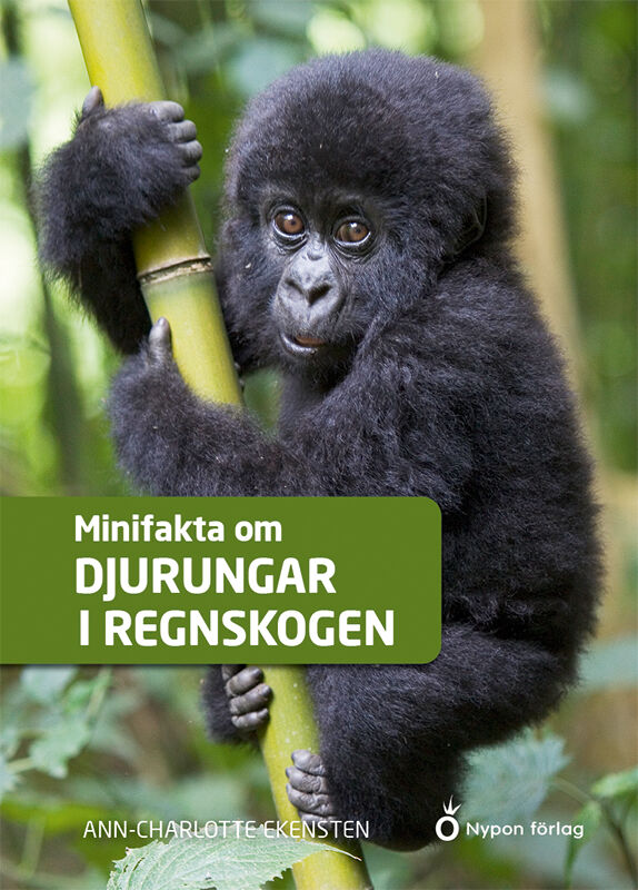 Omslag: Minifakta om djurungar i regnskogen