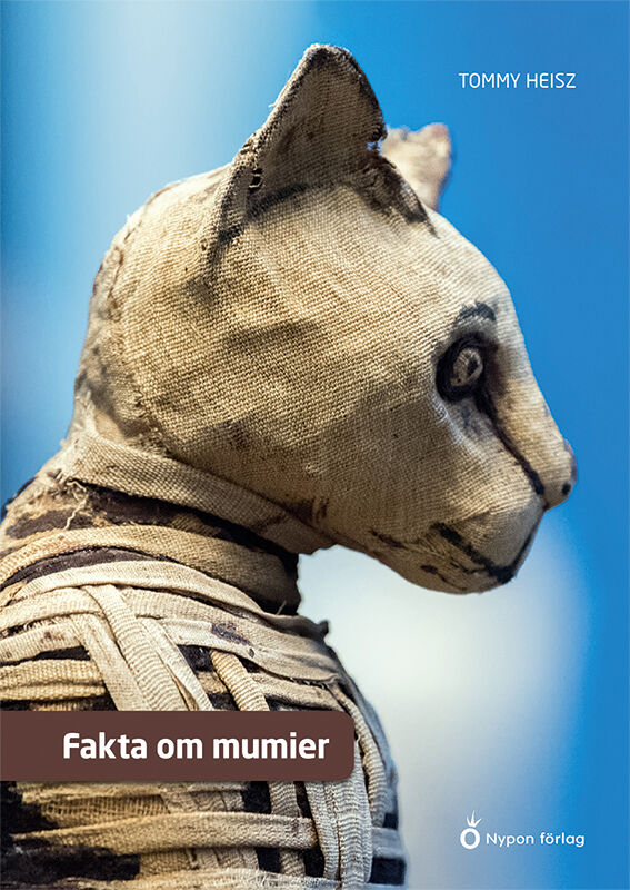 Omslag: Fakta om mumier