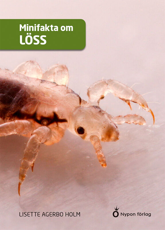 Omslag: Minifakta om löss