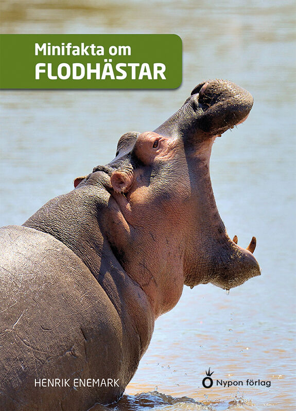 Omslag: Minifakta om flodhästar