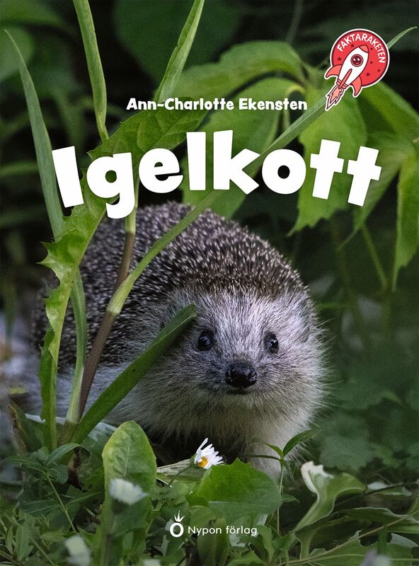 Omslag: Igelkott