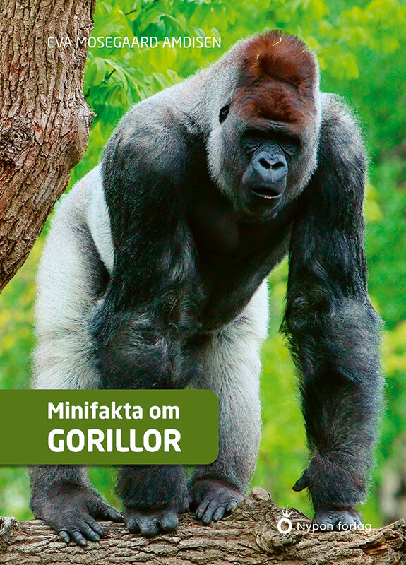 Omslag: Minifakta om gorillor