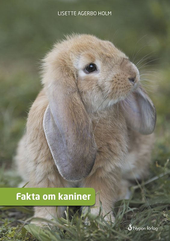 ISBN 9789175677309 Fakta om kaniner