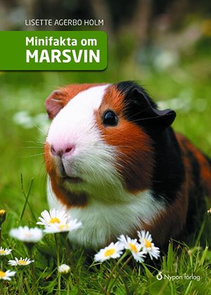 ISBN 9789175678559 Minifakta om marsvin
