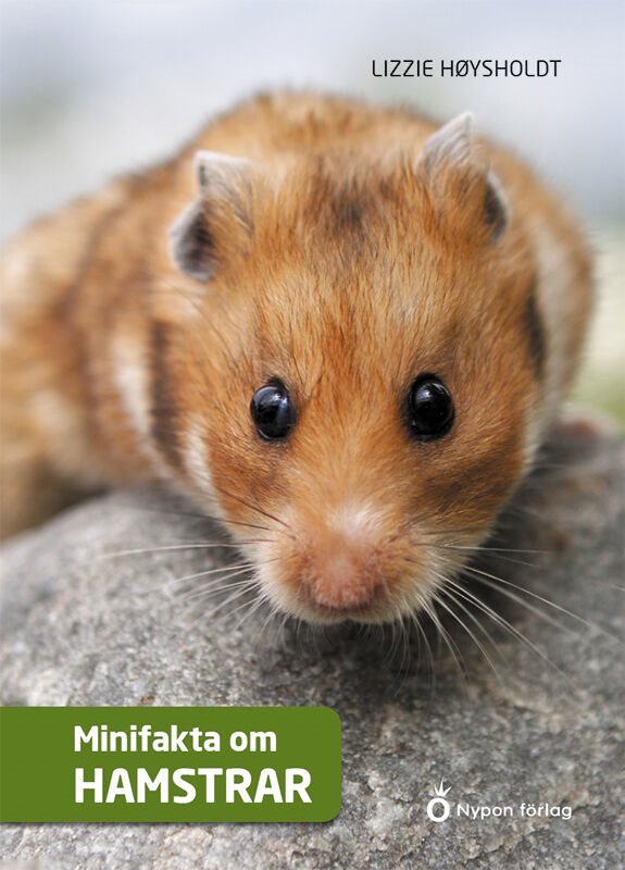 ISBN 9789175677972 Minifakta om hamstrar