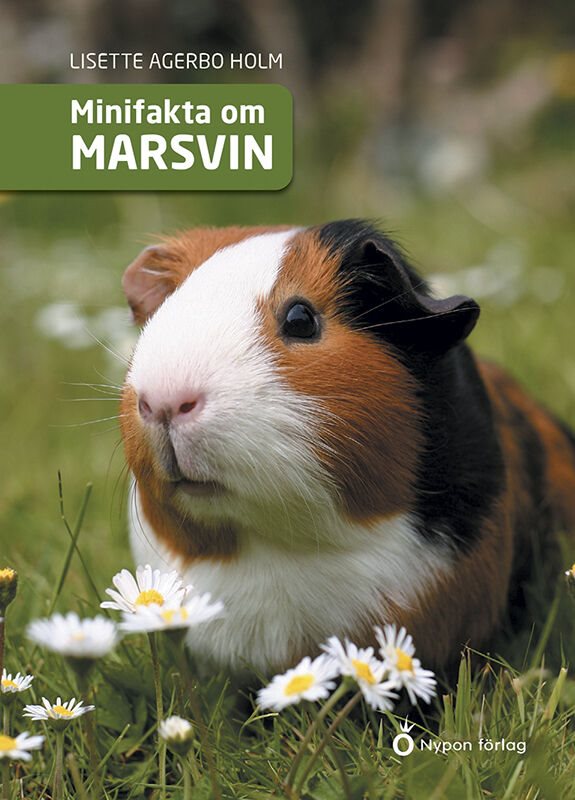 ISBN 9789175678993 Minifakta om marsvin