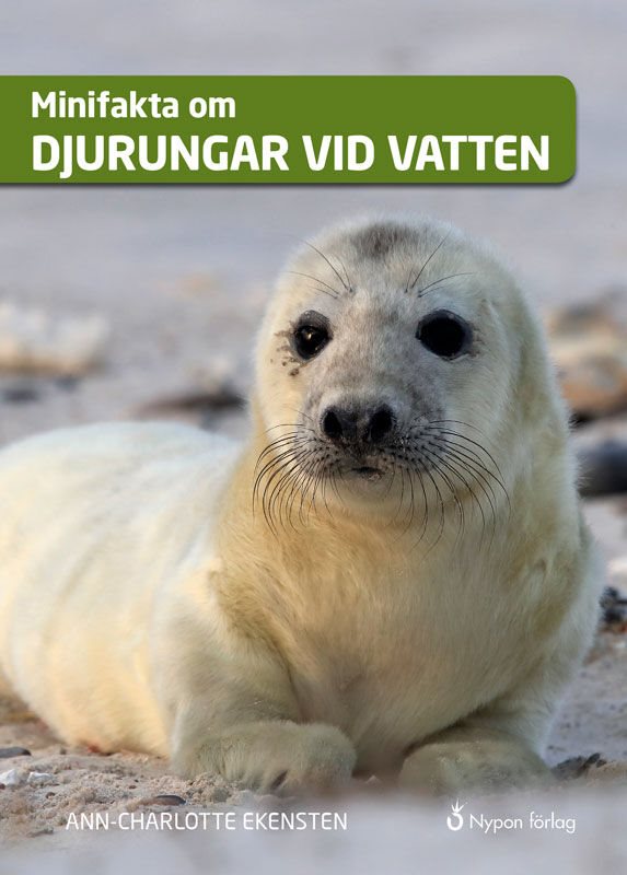 ISBN 9789178253012 Minifakta om djurungar vid vatten