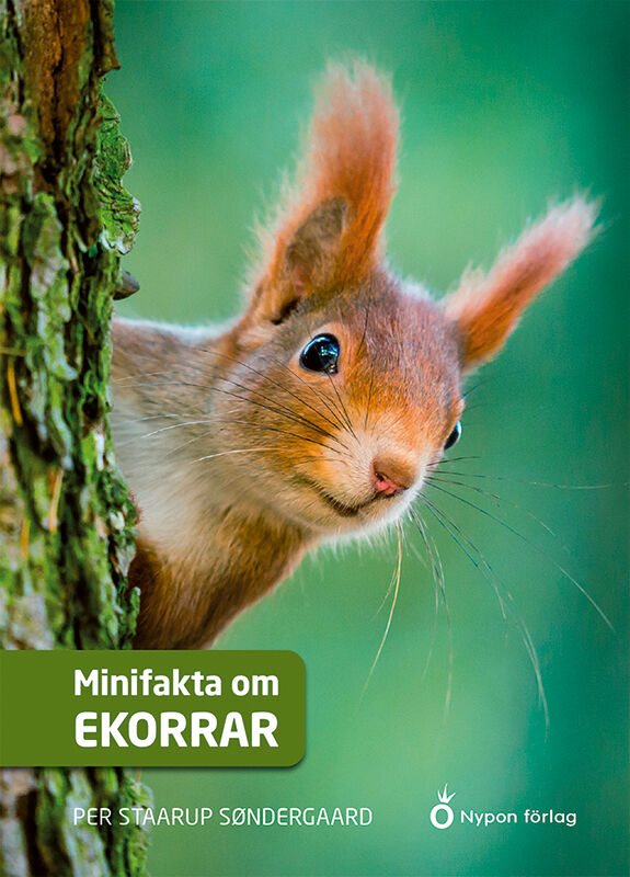 ISBN 9789178252428 Minifakta om ekorrar