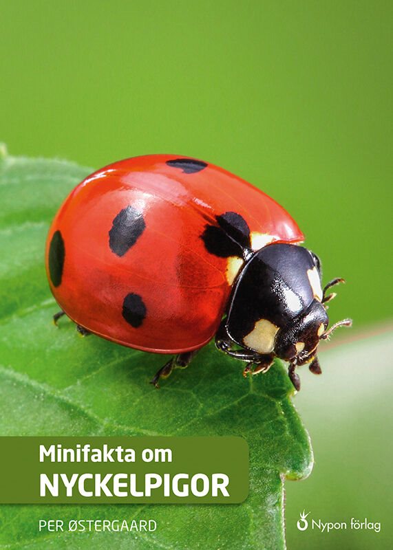 ISBN 9789178254514 Minifakta om nyckelpigor
