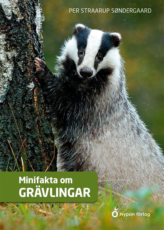 ISBN 9789179870386 Minifakta om grävlingar