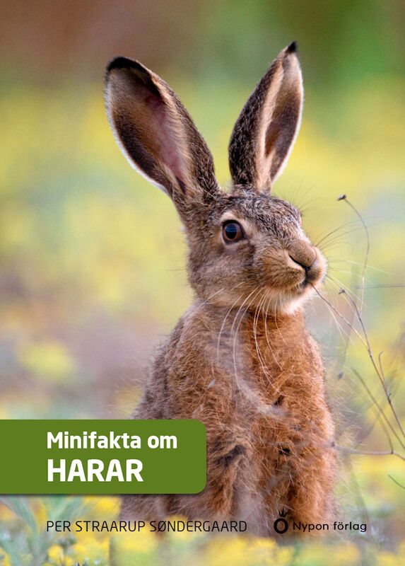 ISBN 9789179872359 Minifakta om harar