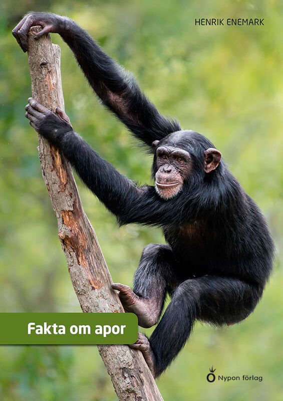 ISBN 9789179873561 Fakta om apor