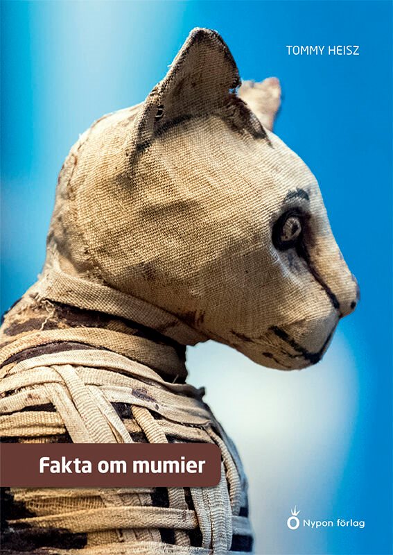 ISBN 9789179873769 Fakta om mumier