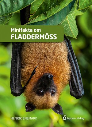 ISBN 9789179873882 Minifakta om fladdermöss