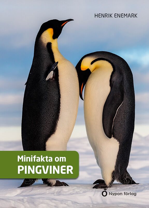 ISBN 9789179873912 Minifakta om pingviner