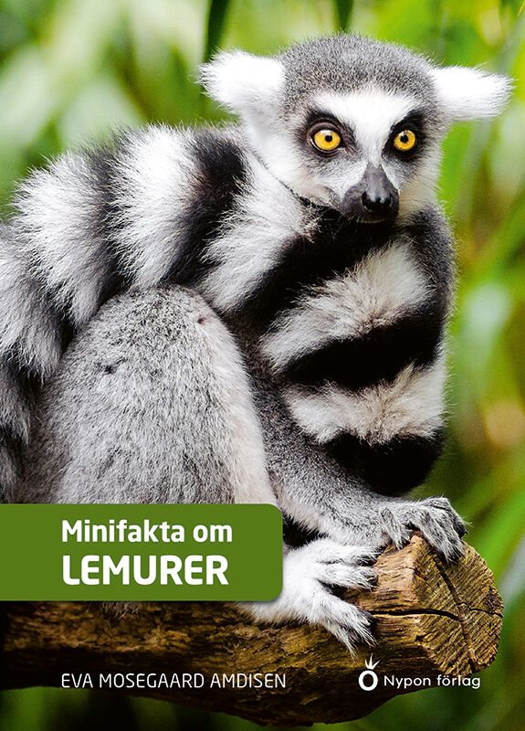 ISBN 9789180770217 Minifakta om lemurer