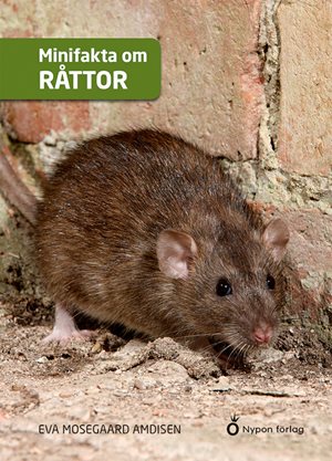 ISBN 9789180771283 Minifakta om råttor