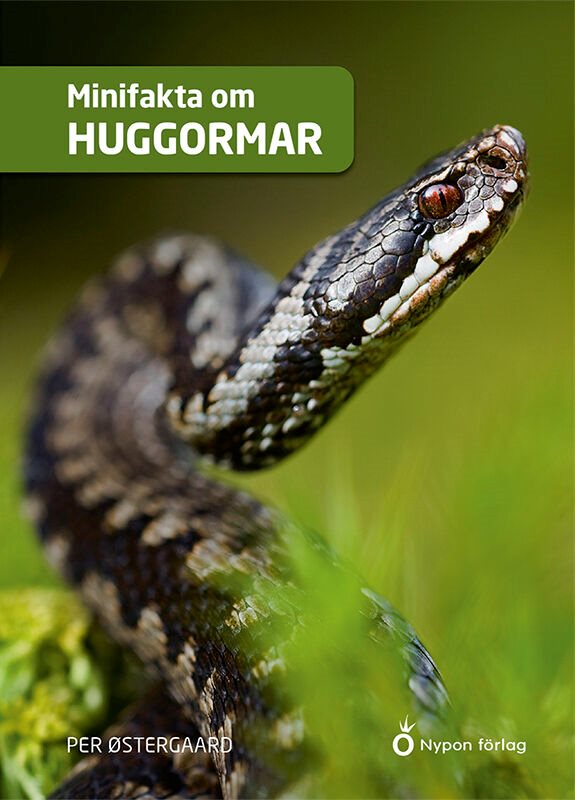ISBN 9789180774291 Minifakta om huggormar