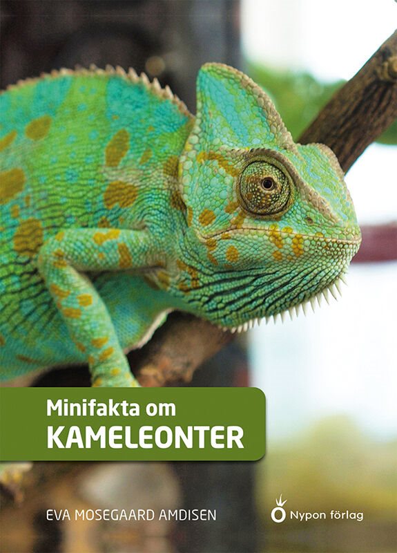 ISBN 9789180774390 Minifakta om kameleonter
