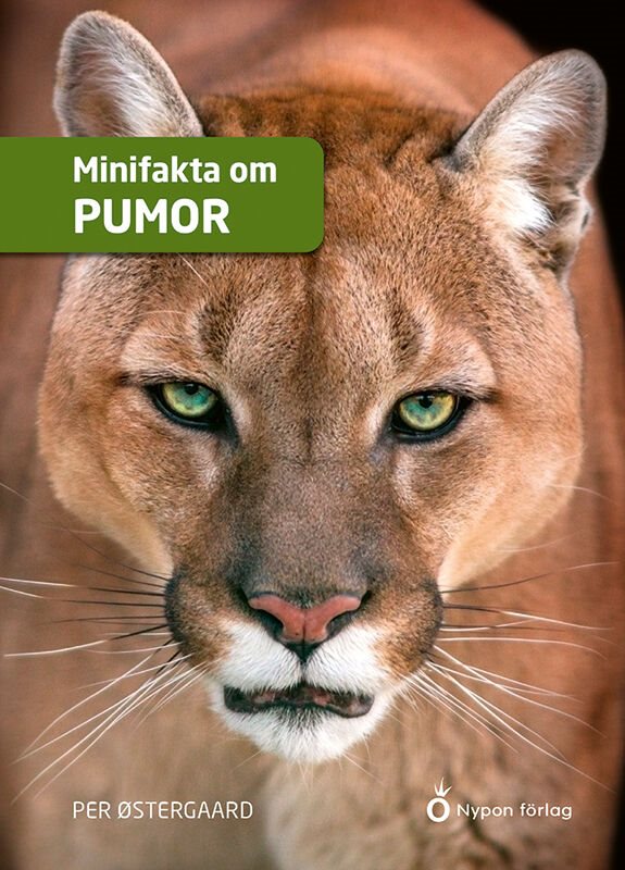 ISBN 9789180775472 Minifakta om pumor