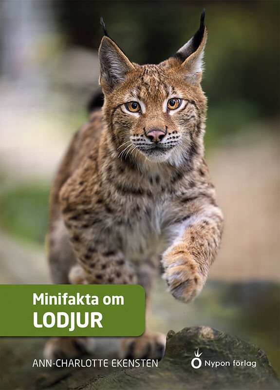 ISBN 9789180779630 Minifakta om lodjur