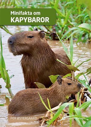 ISBN 9789180780155 Minifakta om kapybaror
