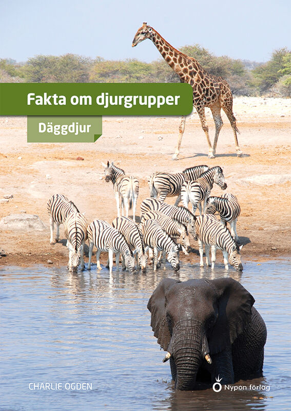 ISBN 9789180782371 Fakta om djurgrupper - däggdjur