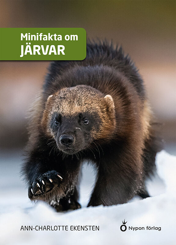 ISBN 9789180782500 Minifakta om järvar