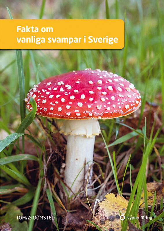 ISBN 9789180782654 Fakta om vanliga svampar i Sverige