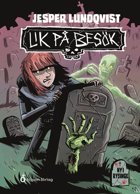 ISBN 9789180783040 Ny i Rysinge - Lik på besök