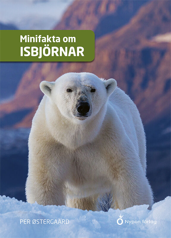 ISBN 9789180783897 Minifakta om isbjörnar