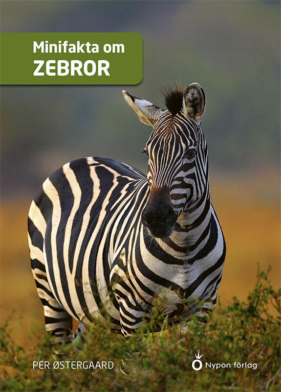 ISBN 9789180783910 Minifakta om zebror
