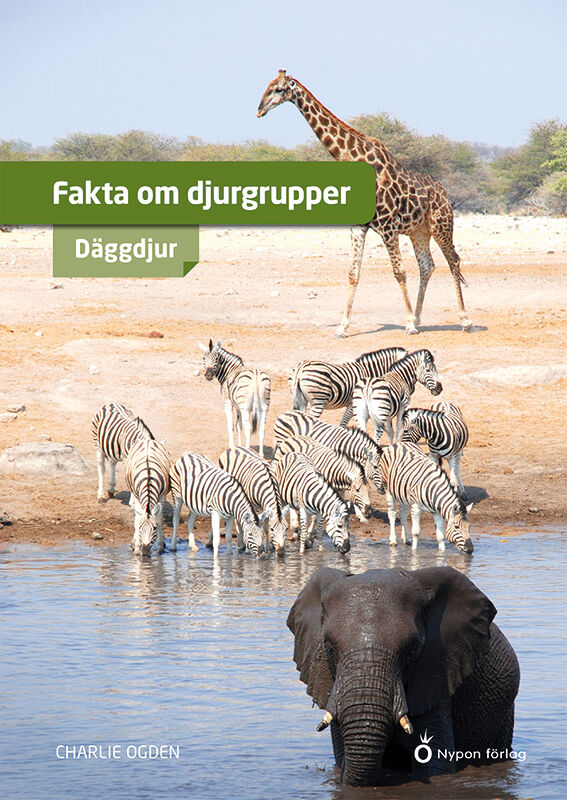 ISBN 9789180783934 Fakta om djurgrupper - däggdjur