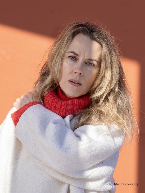 Annika Norlin Författare