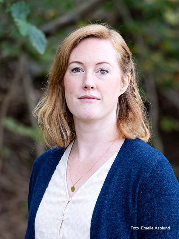 Christin Ljungqvist Författare