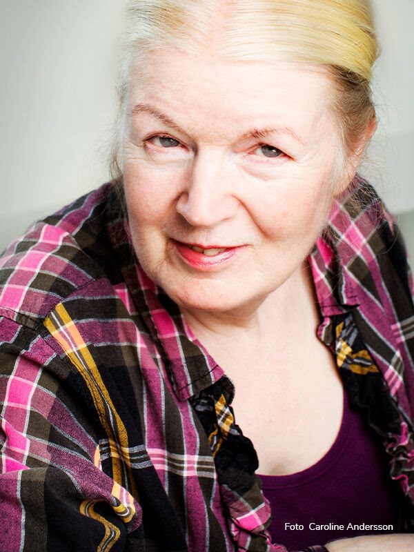 Vibeke Olsson Falk Författare